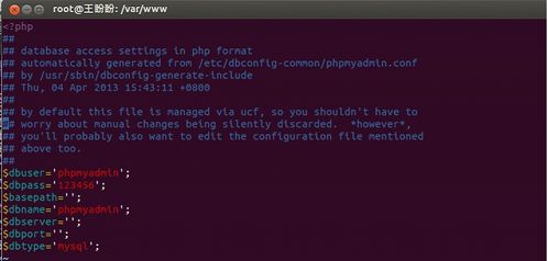 在Ubuntu 12.10上搭建基于Web管理的专属DNS服务器与光污染治理提案